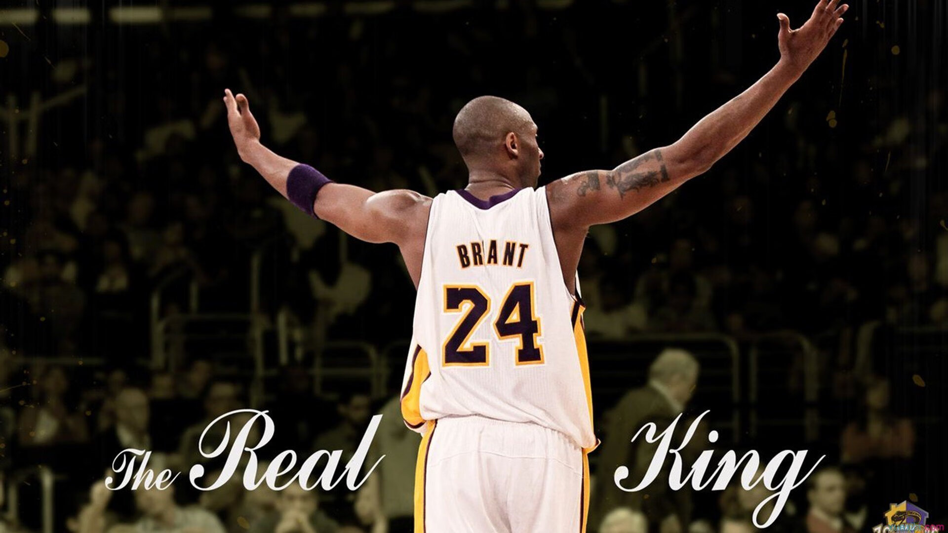 “科技突破：人工智能助力赛场革新”，科技创新人工智能大赛作品