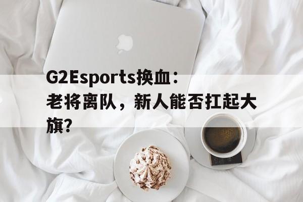 九游娱乐体育-G2Esports换血：老将离队，新人能否扛起大旗？的简单介绍